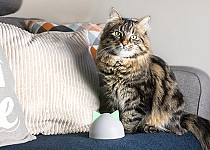 Sure Petcare Hub with cat on sofa