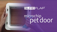 How to clean your SureFlap Microchip Cat Door