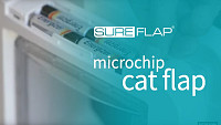 Learning your cat into the SureFlap Microchip Cat Flap
